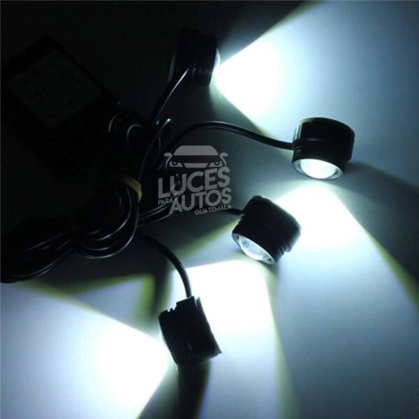 KIT DE OJOS DE ÁGUILA FLASHER - Imagen 3